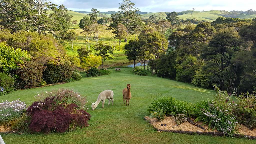 Morepork Riverside Lodge Paihia Εξωτερικό φωτογραφία