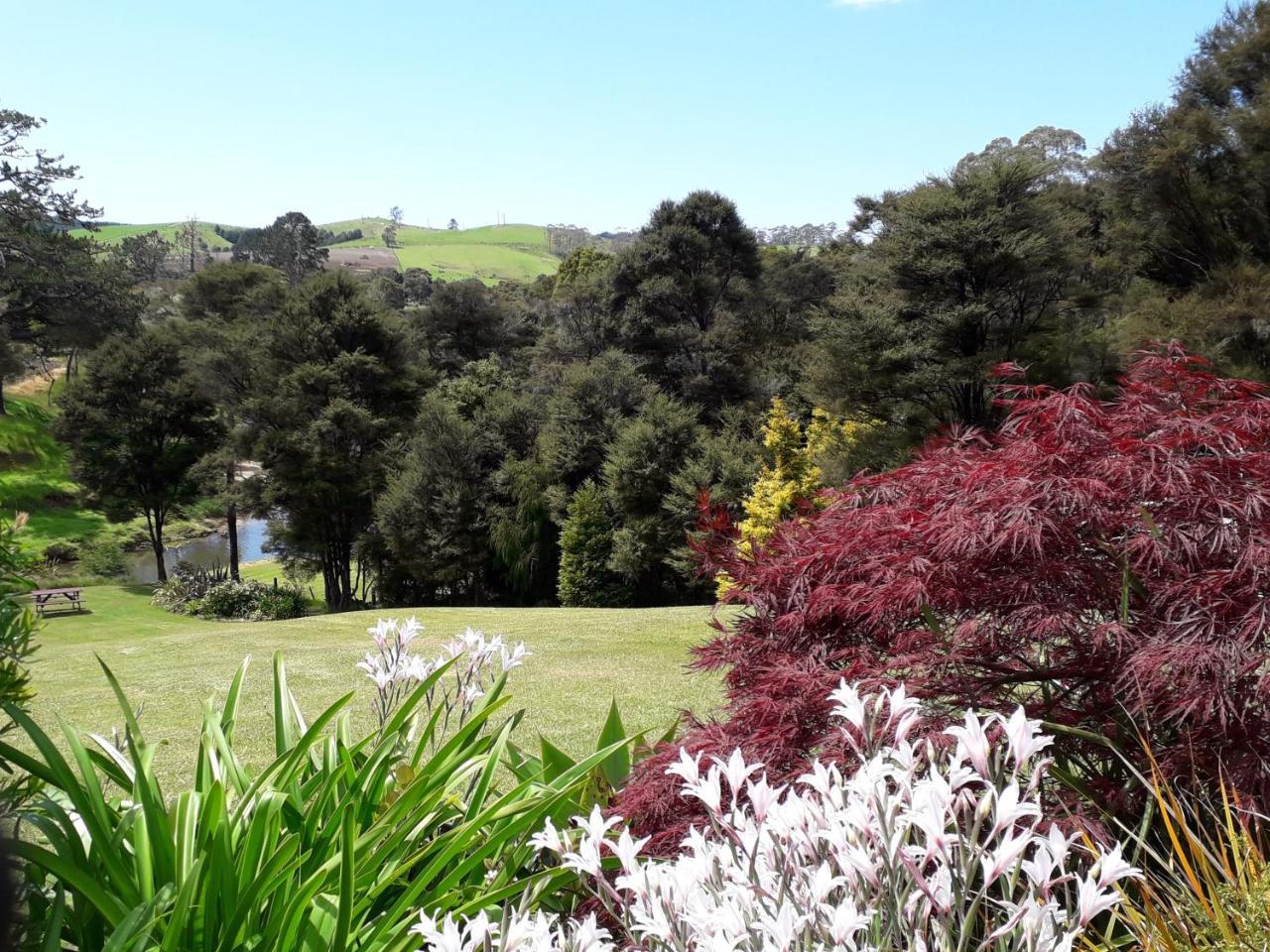 Morepork Riverside Lodge Paihia Εξωτερικό φωτογραφία