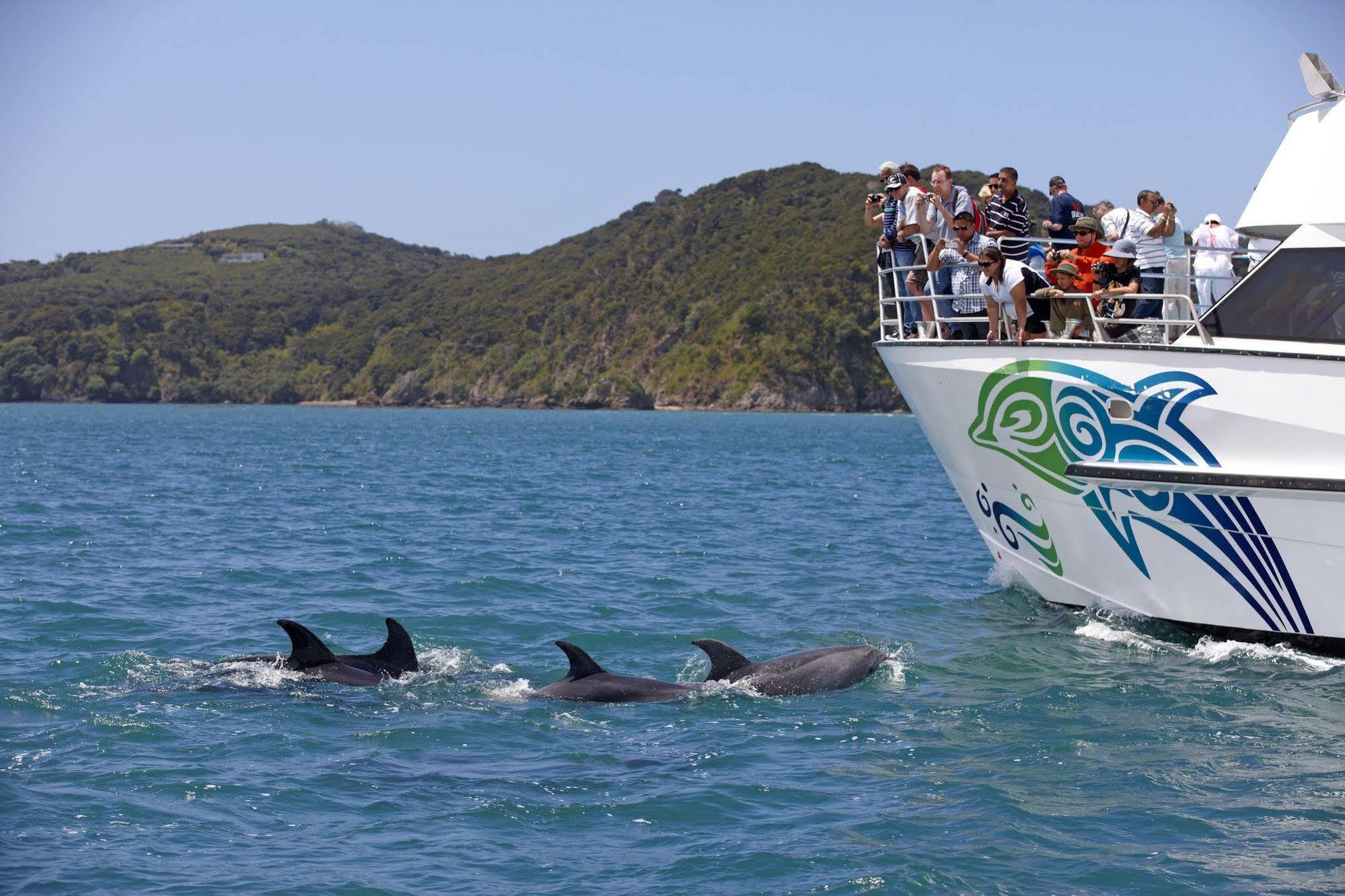 Morepork Riverside Lodge Paihia Εξωτερικό φωτογραφία