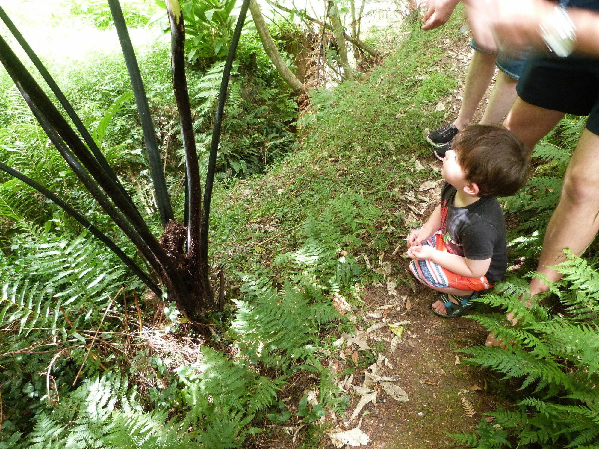 Morepork Riverside Lodge Paihia Εξωτερικό φωτογραφία